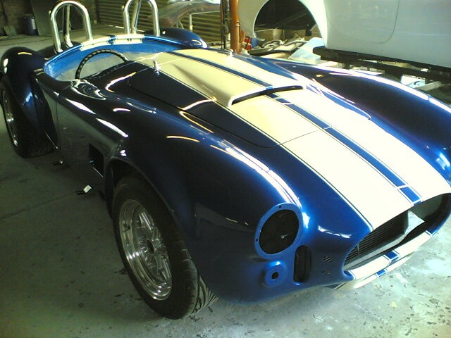 Blue and white striped Cobra in the workshop